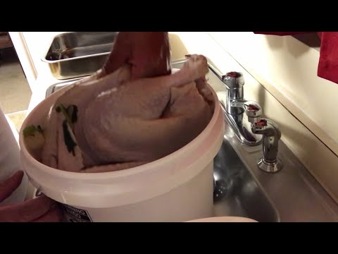 download lagu mp3 mp4 Can You Brine A Turkey For 48 Hours, download lagu Can You Brine A Turkey For 48 Hours gratis, unduh video klip Can You Brine A Turkey For 48 Hours