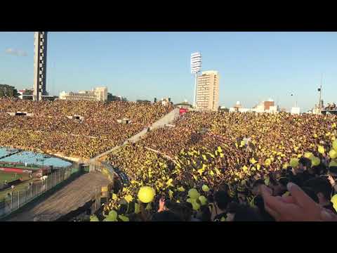 "Hoy te vinimos a ver, carbonero vos sos mi vidaaaa" Barra: Barra Amsterdam &bull; Club: Peñarol