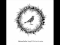 Marissa Nadler - Famous Blue Raincoat