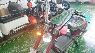 Germany Warehouse M1P Citycoco 2000W 60V 30Ah Battery 2 Wheel Electric Motorcycle EEC Chopper