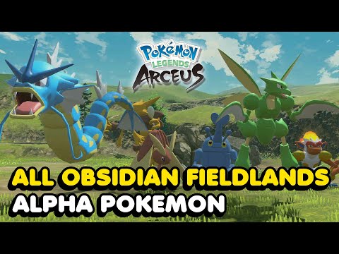 All ALPHA POKEMON Locations In The Obsidian Fieldlands - Pokemon Legends Arceus