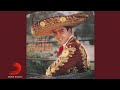 Alejandro Fernández - Mitad Tú, Mitad Yo (Cover Audio)