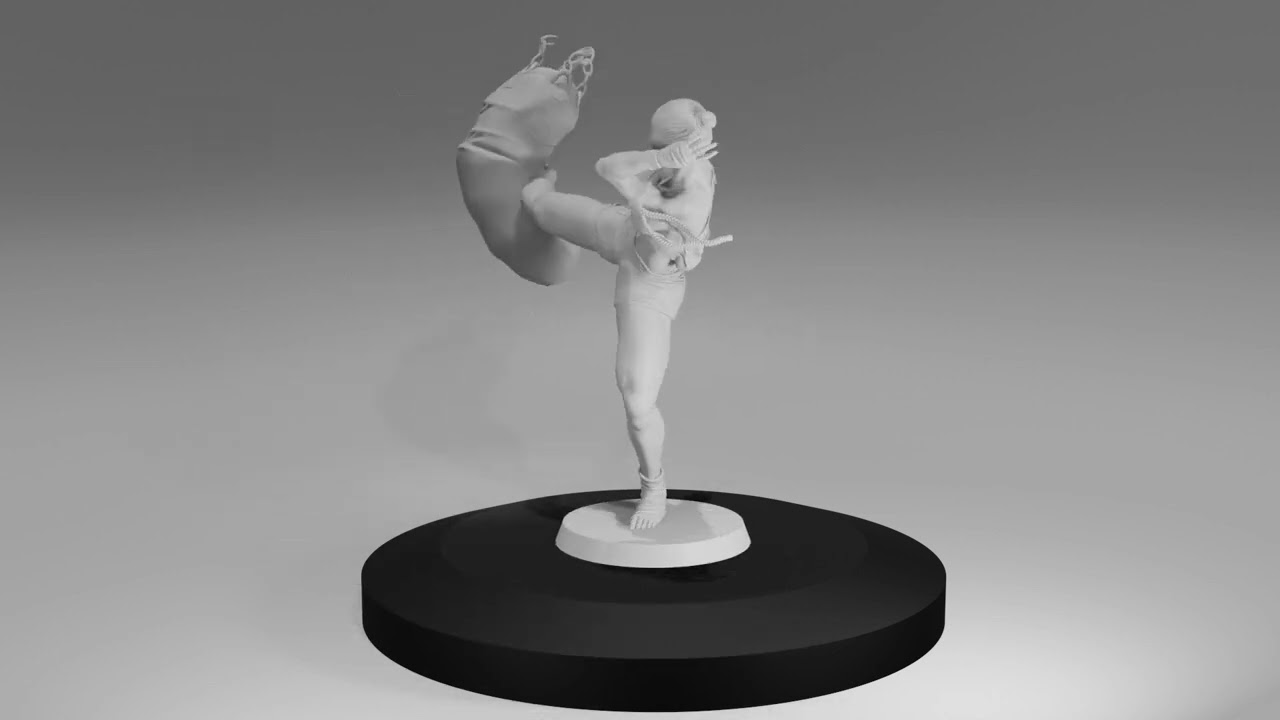 Mai Tai Fighter 3D Print Model