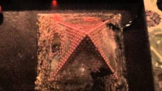 The NWO is going down!   Orgone