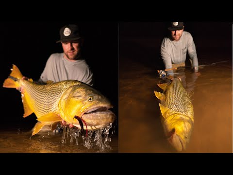 35 pound Pure Paraná Gold at Suindá Lodge