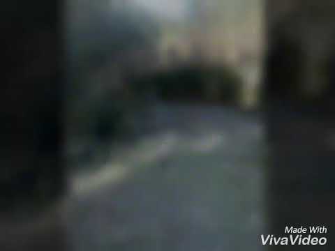 Cabana Voinea.Fam Patrulete si Lungu