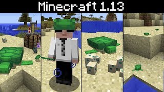 Minecraft 1.13 - Turtles, Where to Find, How to Breed, Shells and Potions