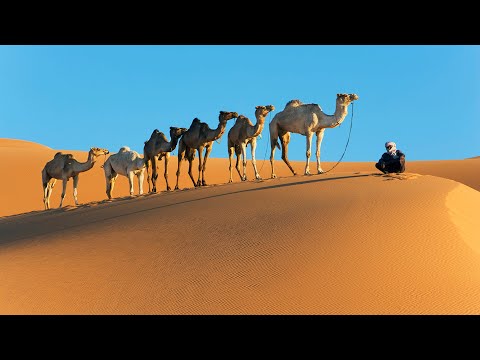 Desert Oud - Arabian Music - Meditation in Desert, Bedouin Mystery Rhythms