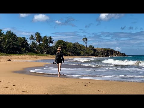 Plage de la Perle, Guadeloupe | my favourite beach