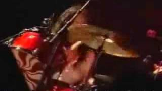 The White Stripes - Blue Orchid Party Of Special Things To Do