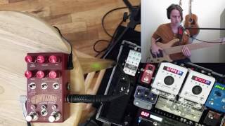 Video thumbnail for Chase Bliss Audio Wombtone MkII Phaser Demo (Bass Review) by Zachary Rizer