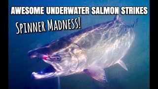Blue fox super vibrax salmon