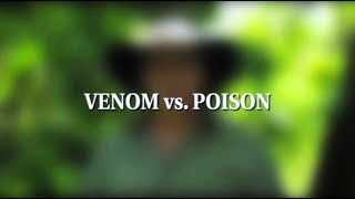 10 FVS Venom vs Poison Remastered