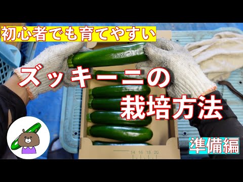 ズッキーニの準備: 野菜はさまざまな方法で使用できます 植物
