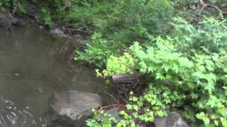 i fell in the water! 008