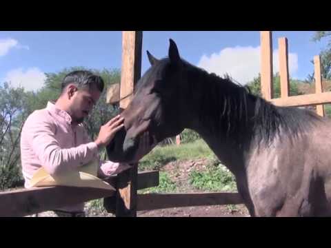 cartas marcadas mau rios