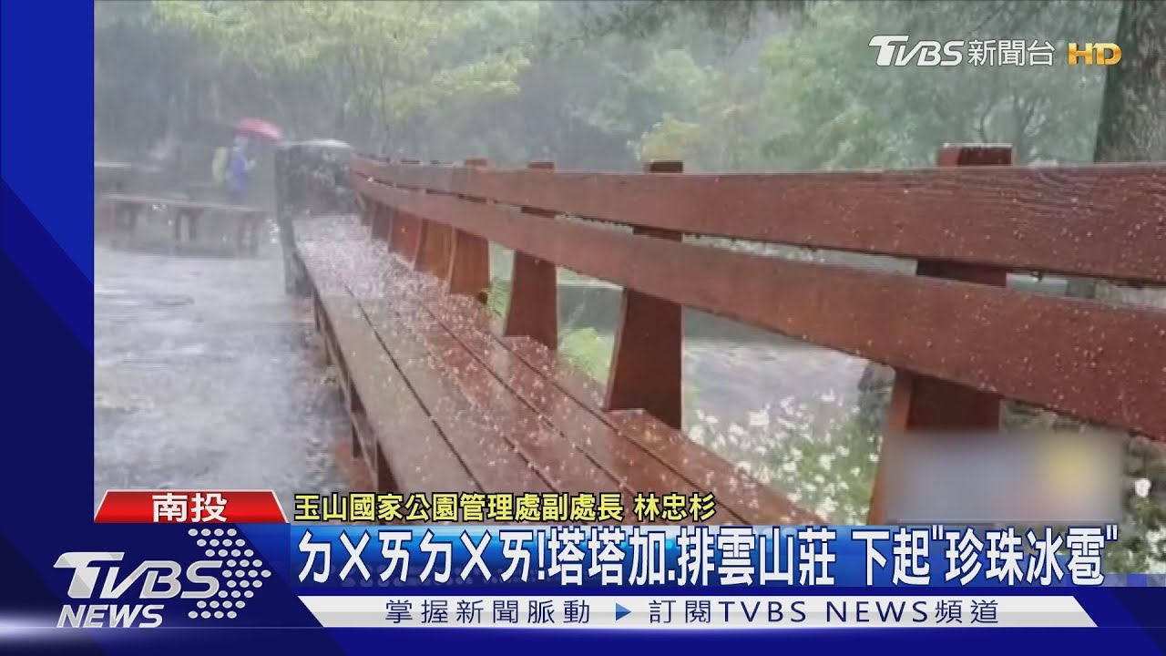 ㄉㄨㄞㄉㄨㄞ! 塔塔加、排雲山莊下起「珍珠冰雹」