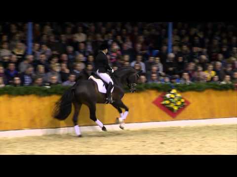 Feinrich deutsch 2016