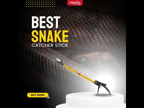 Buy Falcon 6 Feet Yellow & Black Snake Catcher Stick, FPSC-66 Online At
