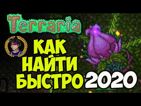 Как найти Плантеру в Террарии (БЕЗ ПОИСКОВ) | Как призвать плантеру в Террарии
