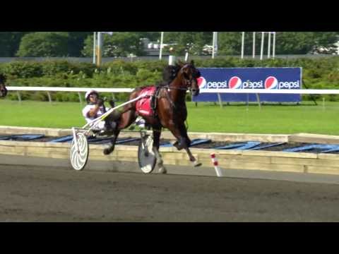 2013 Hambletonian Final - Royalty For Life