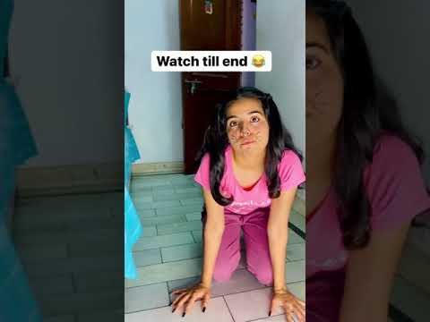Cat 🐱 vs Dog 🐶 || Instagram Lockdown top viral reel || Priyal Kukreja #shorts #ytshorts