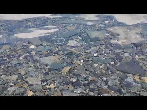 #pangonglake  #cristal #water #ladakhtrip