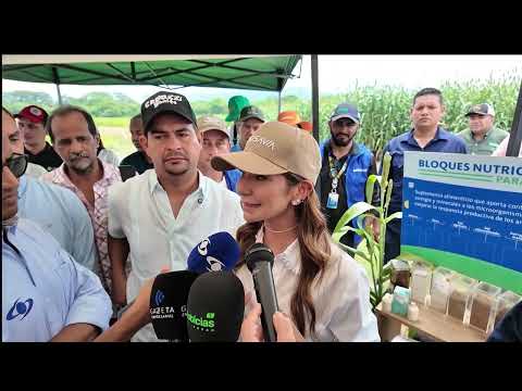 MINISTERIO DE AGRICULTURA LANZA FORRAJE MILAGRO EN CODAZZI, CESAR