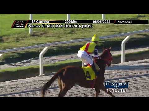 08/05/2022 – Hipodromo Maroñas – Carr 6 – FLASH MAS QUERIDA (2019)