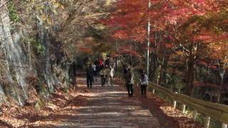 preview picture of video '花貫渓谷 茨城県高萩市'