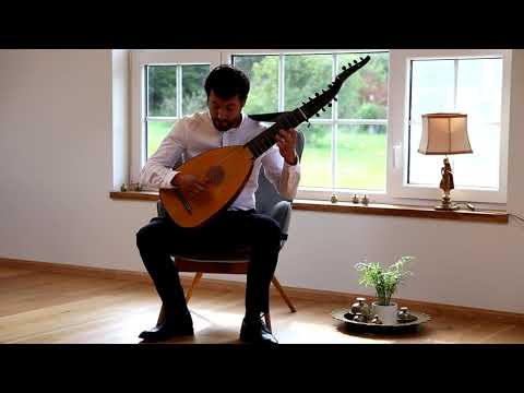 Sylvius Leopold Weiss - Fantasie, played by Saulius S. Lipčius (liuto forte)