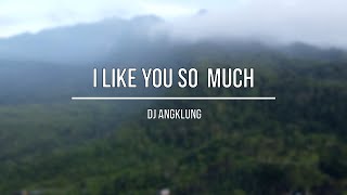 Download lagu DJ I LIKE YOU SO MUCH by IMp (remix slow angklung) mp3 Download lagu DJ I LIKE YOU SO MUCH by IMp (remix slow angklung) mp3