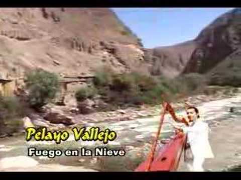 Fuego En La Nieve - Pelayo Vallejo