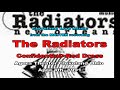 The Radiators - Confidential + Red Dress - Agora Cleveland OH 4/4/91 from the master recording