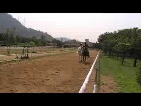 LEE YING YING - HORSE RIDING (2)