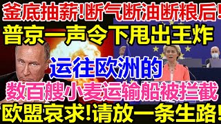釜底抽薪、俄罗斯甩出王炸、断气断油断粮后、普京一声令下、运往欧洲的数百艘小麦运输船被拦截、欧盟哀求、请放一条生路、 video