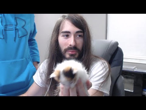 Hugecharles