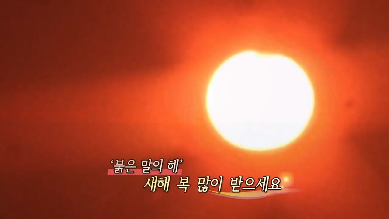 새해 복 많이 받으시오~~ 2026년은 다낭으로~