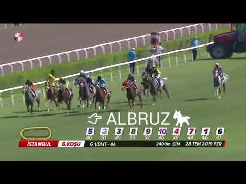 NİĞBOLU KOŞUSU  (Grup-1)   28/07/2019    İSTANBUL