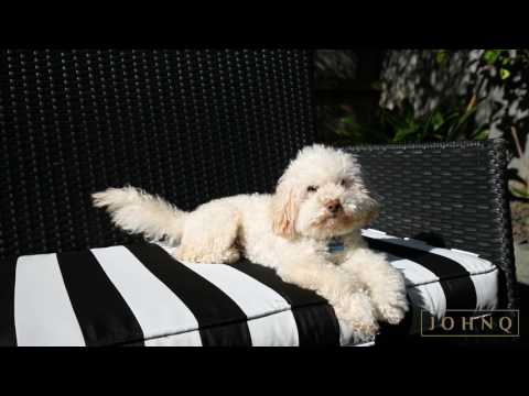 38 Garin Way, Stonefields - John Q