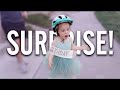 ELLA S SURPRISE 3RD BIRTHDAY