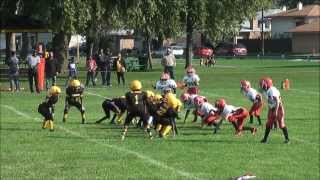 preview picture of video 'New Lenox Mustangs vs Dolton Bears (09/28/2013)'