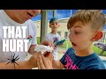 SPIDERS ANTS and ALLIGATORS! NIGHTMARE VACATION VLOG (WE ARE LEAVING THIS PLACE)