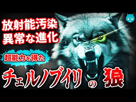 チェルノブイリ:研究者たちは驚くべき発見をする – これらの動物は放射線を無視する