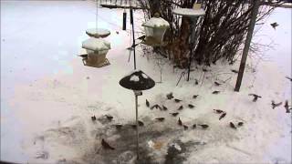 His Eye Is On The Sparrow - Ethel Waters singing.