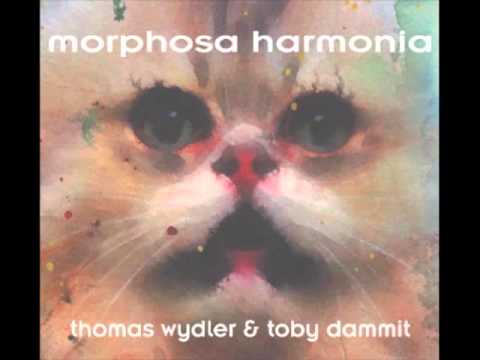 Mr. Knock Up - Thomas Wydler & Toby Dammit (Morphosa Harmonia / 2004)