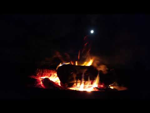 Willy and His Giants - Moon Bells, guitar instrumental pop/rock. Official music video