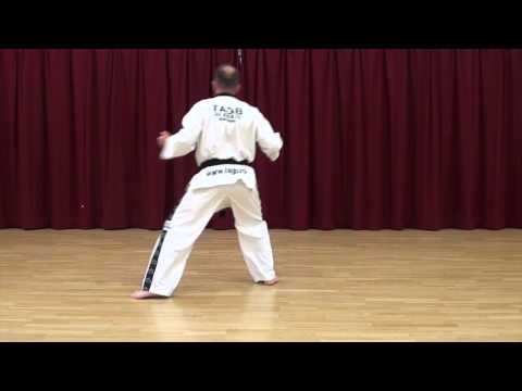 TAGB TAEKWONDO White Belt Beginner Exercise Saju Jirugi 15 Moves