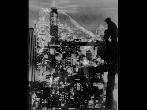 Roaring Twenties: a new fox from Leo Reisman's Orch., 1927