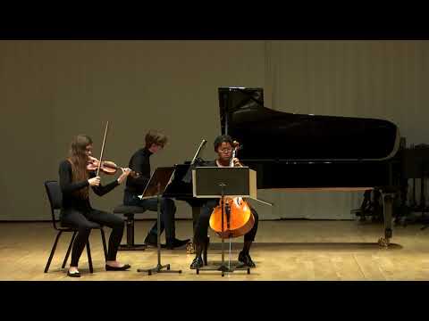 Trio Megrez - Beethoven Piano Trio in D major, op.70 No.1''Ghost'' 1st movement